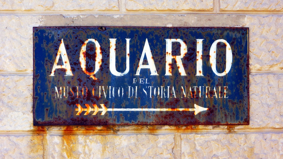 Rahu in Aquarius: Innovation, Rebellion & Humanitarian Vision