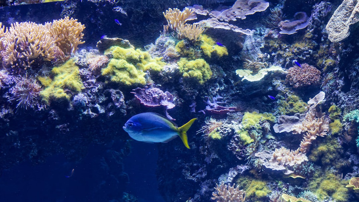 Taurus and Aquarius Compatibility: Friendship, Love & Business