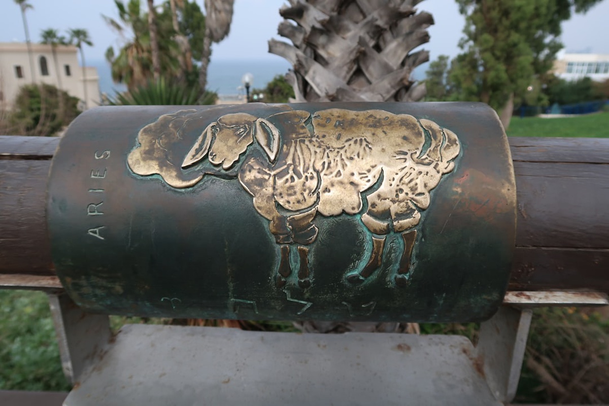 Rahu in Aries: Ambition, Aggression, Love & Career Effects