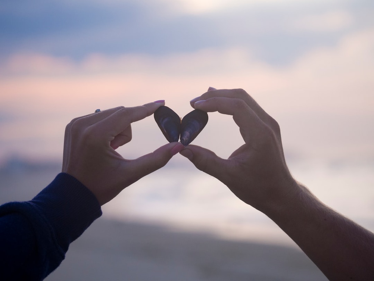 Sagittarius and Capricorn Compatibility 2026 รขโฌโ Love, Friendship & Business Insights