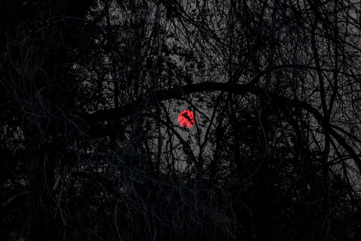 Leo and Gemini Compatibility: Friendship, Love & Business